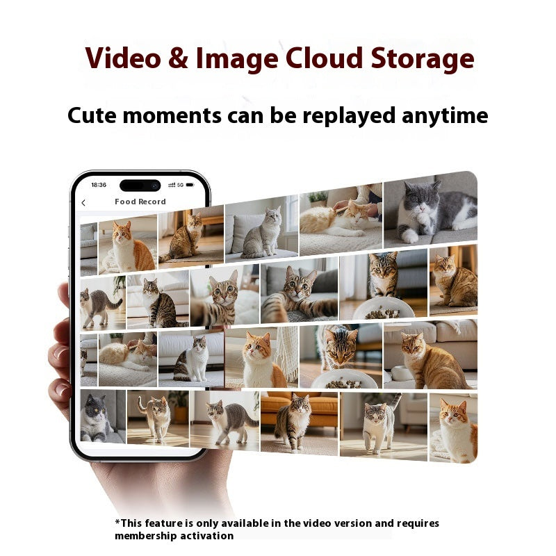 All-in-One Smart Pet Feeder & Water Fountain