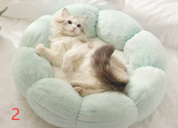 Calming Cat & Dog Bed
