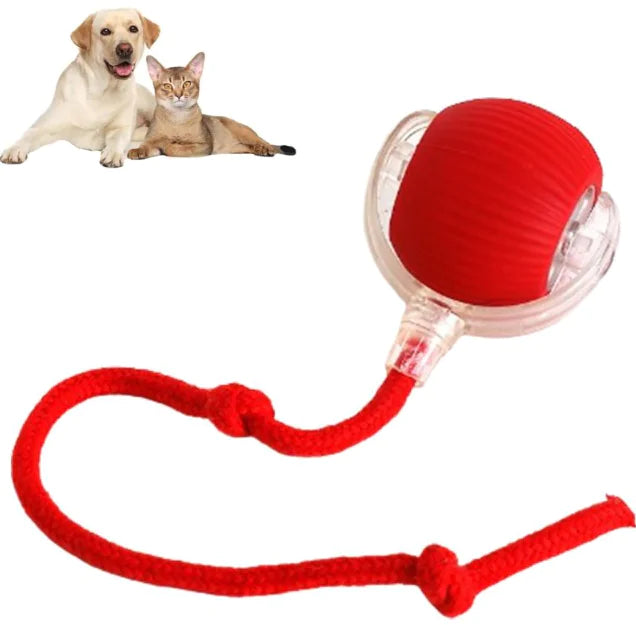 Smart Rolling Pet Ball Toy
