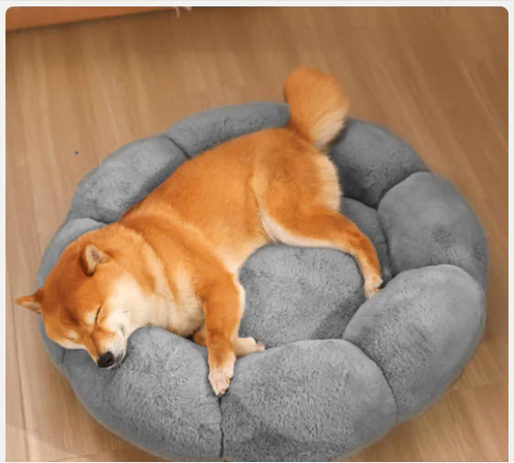 Calming Cat & Dog Bed