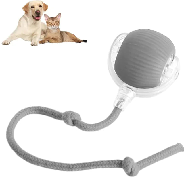 Smart Rolling Pet Ball Toy