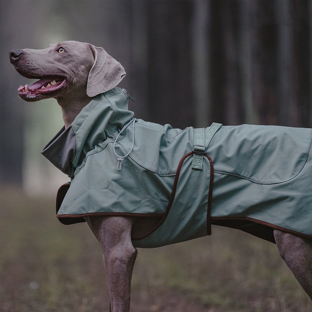 PawShield Pro Outdoor Jacket – Warm, Waterproof & Windproof