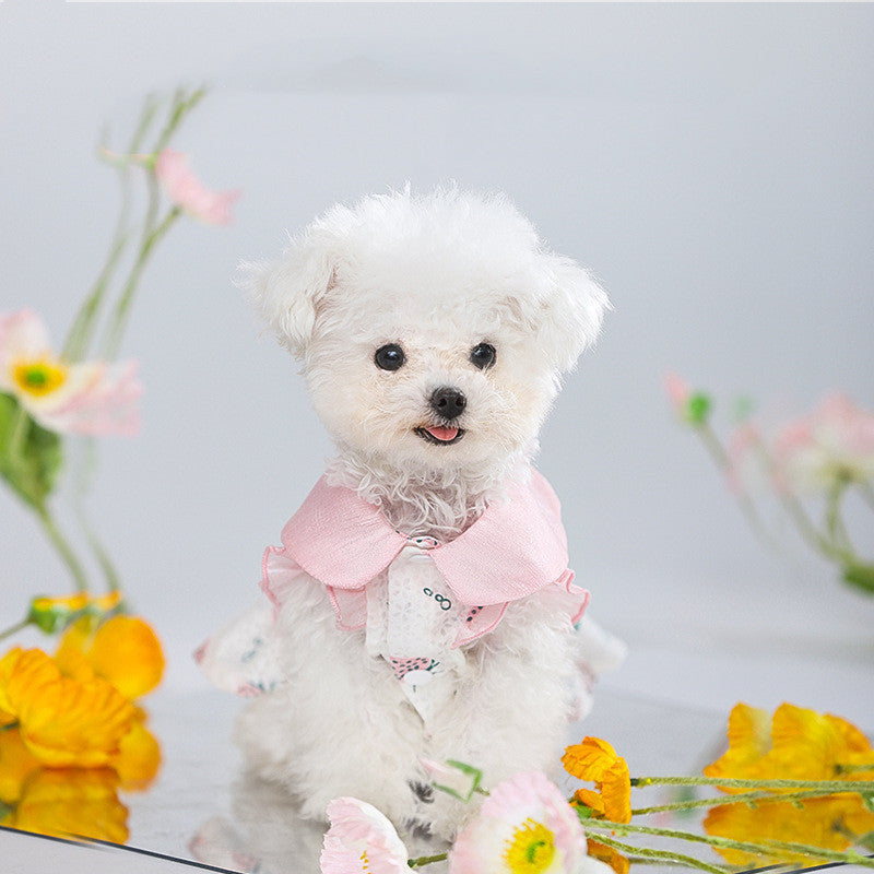 Anti Hair Loss Cat Clothes