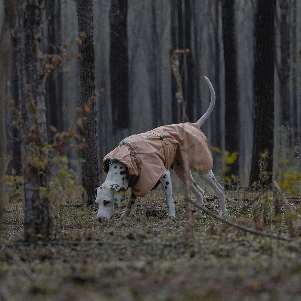 PawShield Pro Outdoor Jacket – Warm, Waterproof & Windproof