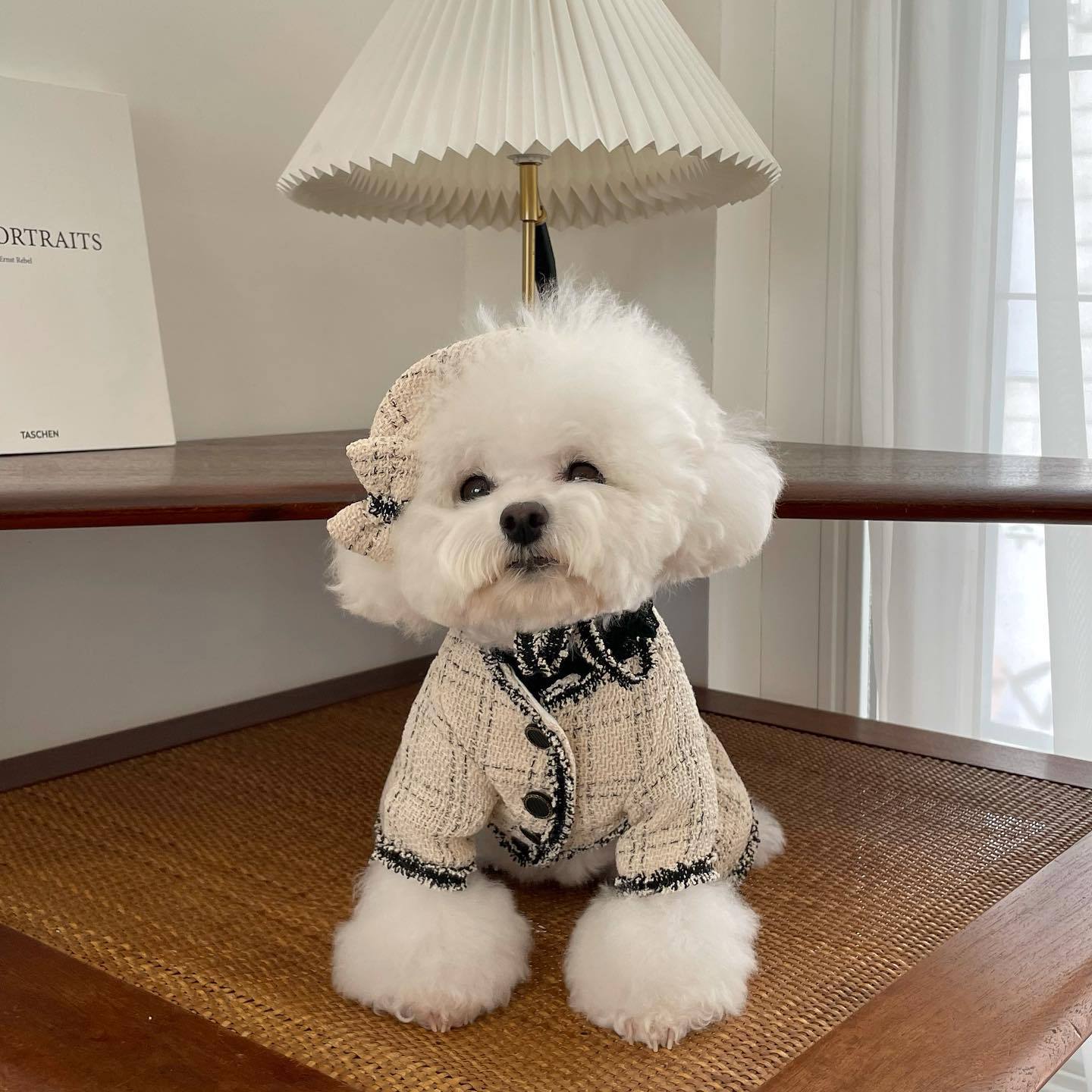 French Vanilla Pet Outfit