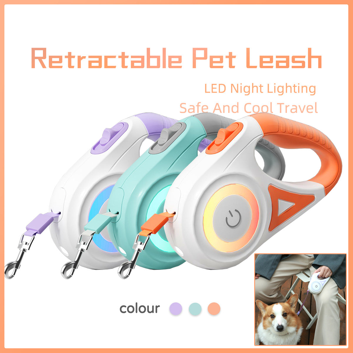 GlowWalk Retractable Leash Set