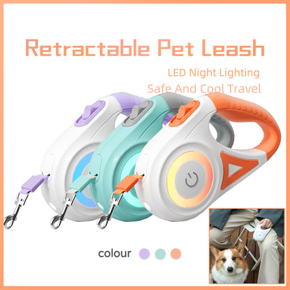 GlowWalk Retractable Leash Set