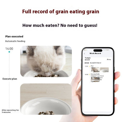 All-in-One Smart Pet Feeder & Water Fountain