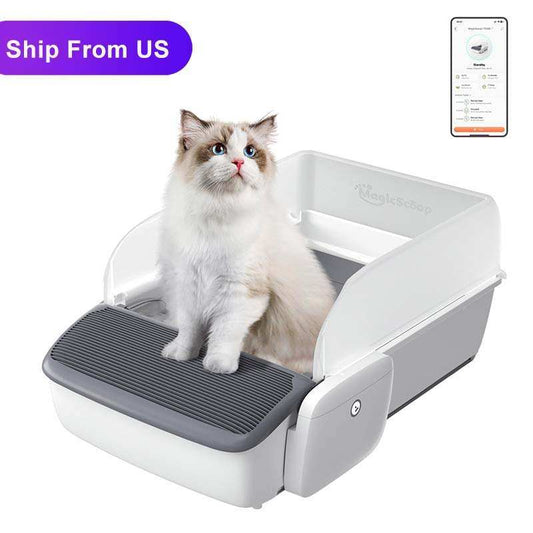 Auto cat Litter Box