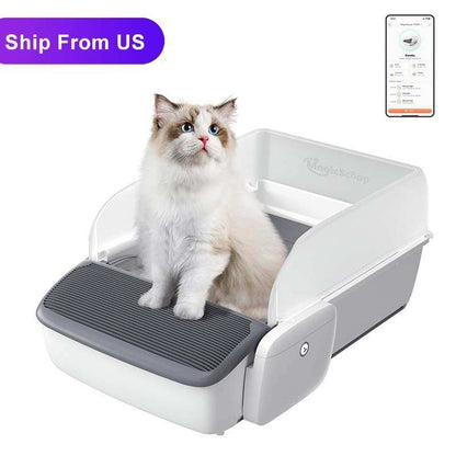 Auto cat Litter Box