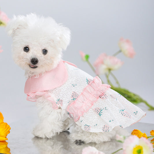 Anti Hair Loss Cat Clothes