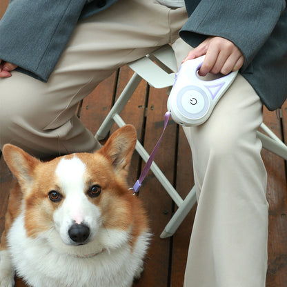 GlowWalk Retractable Leash Set