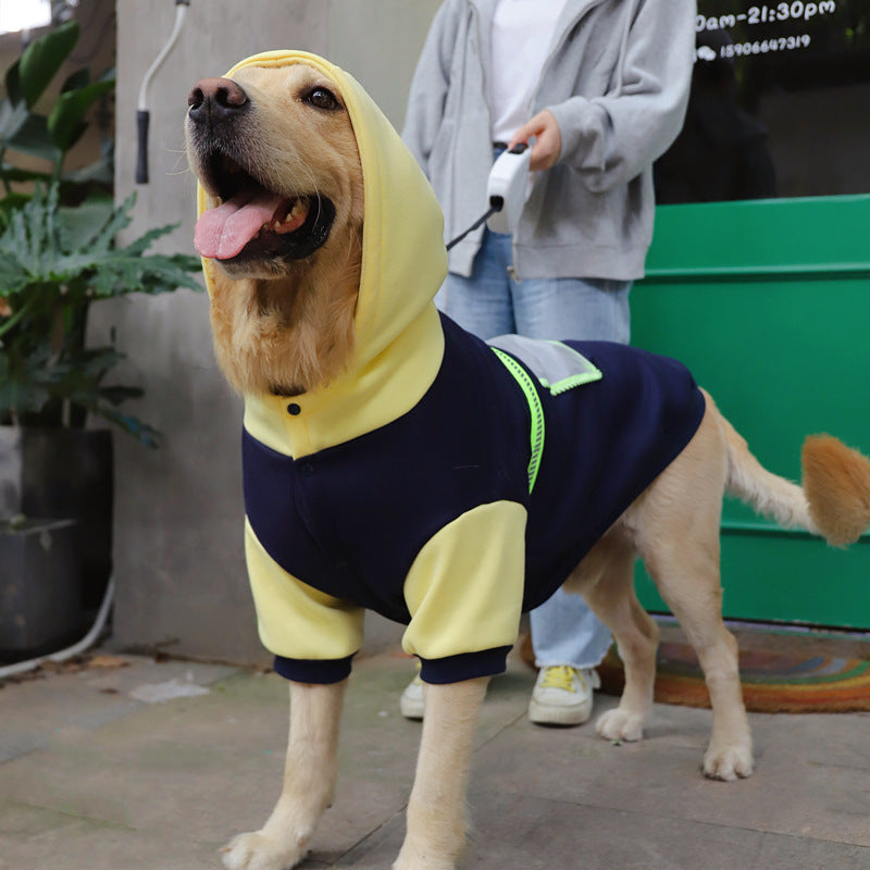 Big Paw Comfort Hoodie