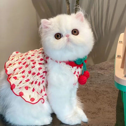 Summer Dog Halter Skirt