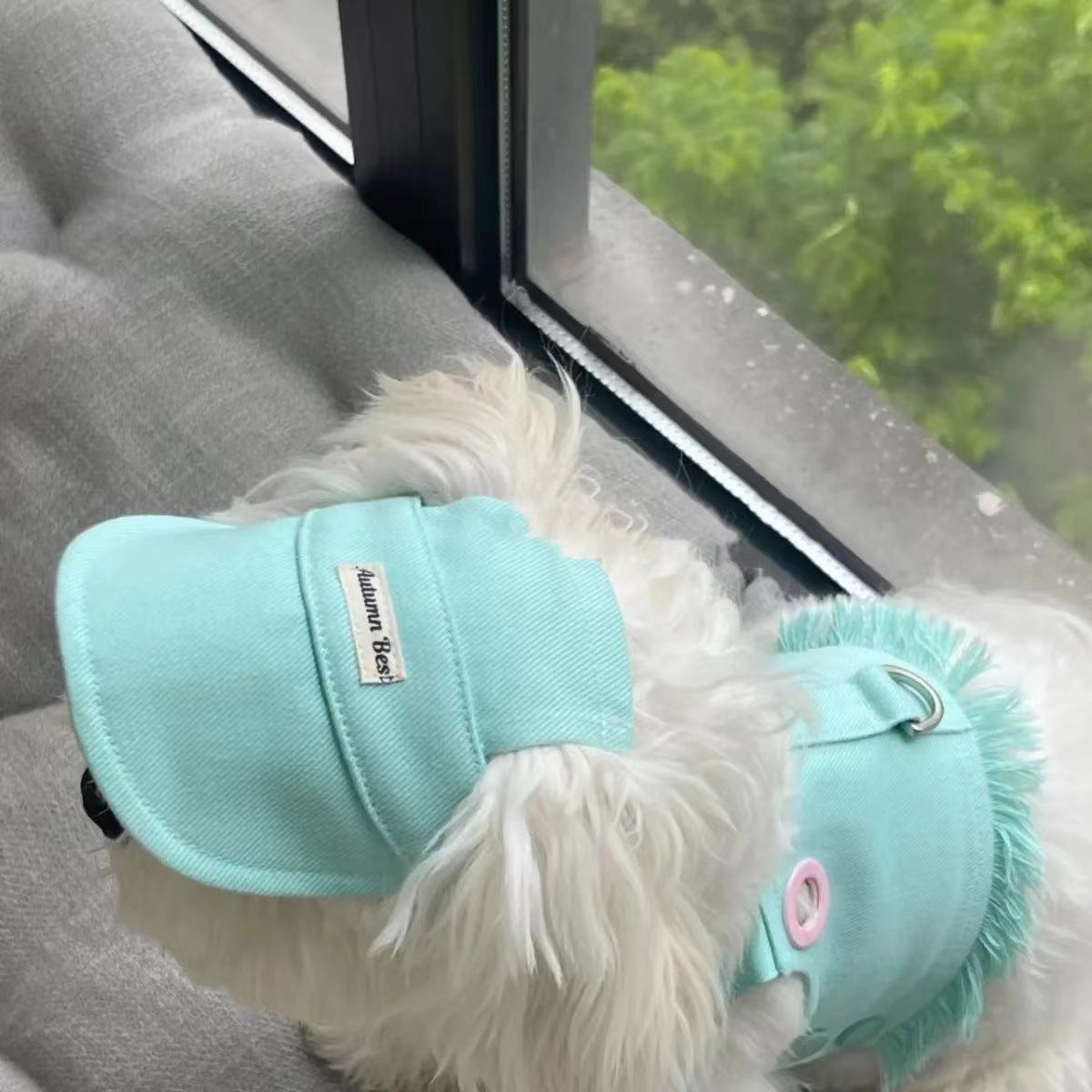 Candy Color Denim Pet Vest