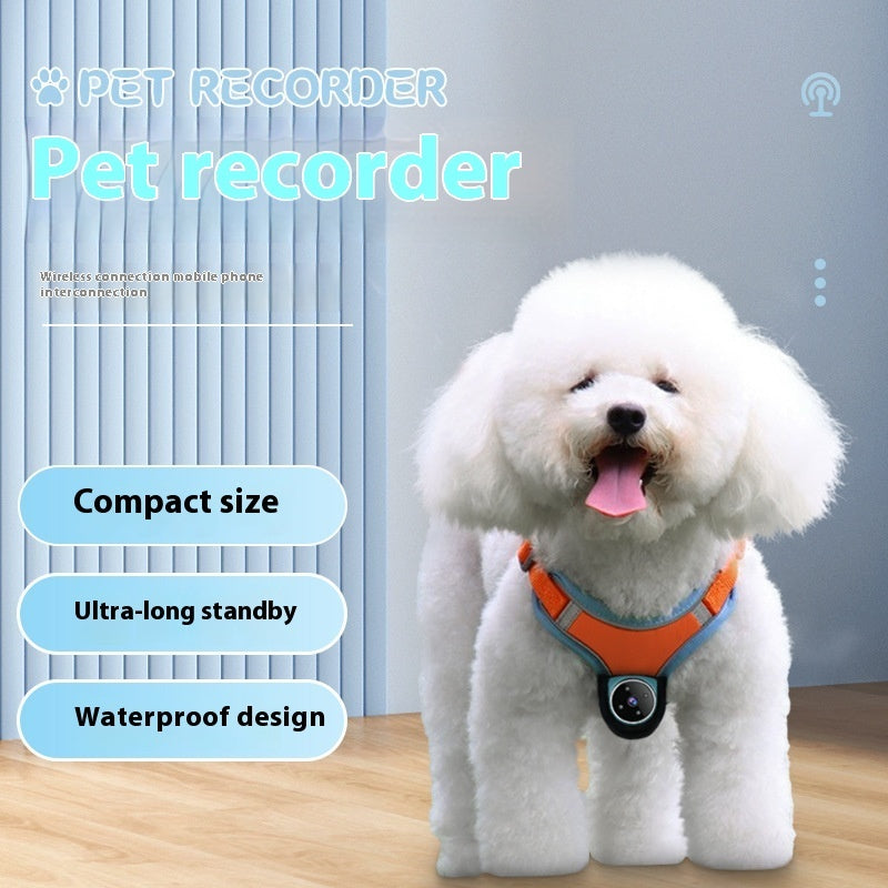 PawView Pet Recorder