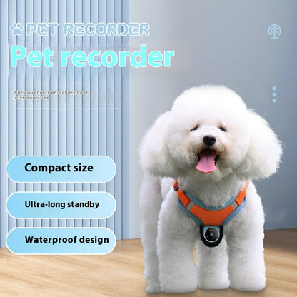 PawView Pet Recorder