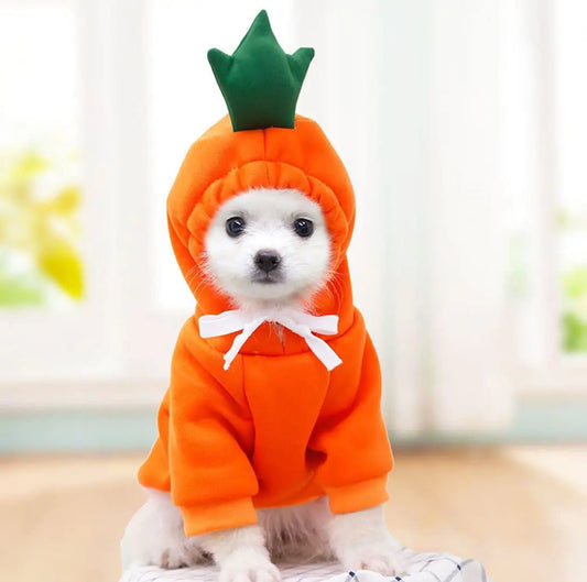 Apple Shaped Dog Hoodie