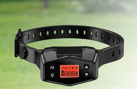 GPS Wireless Dog Fence & Training Collar