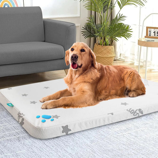 Waterproof Memory Foam Dog Bed
