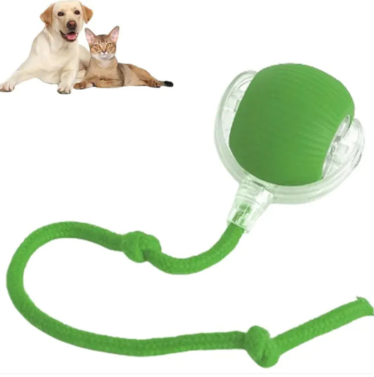 Smart Rolling Pet Ball Toy