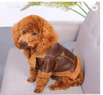 Maverick Pup Leather Jacket
