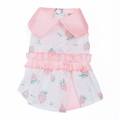 Anti Hair Loss Cat Clothes