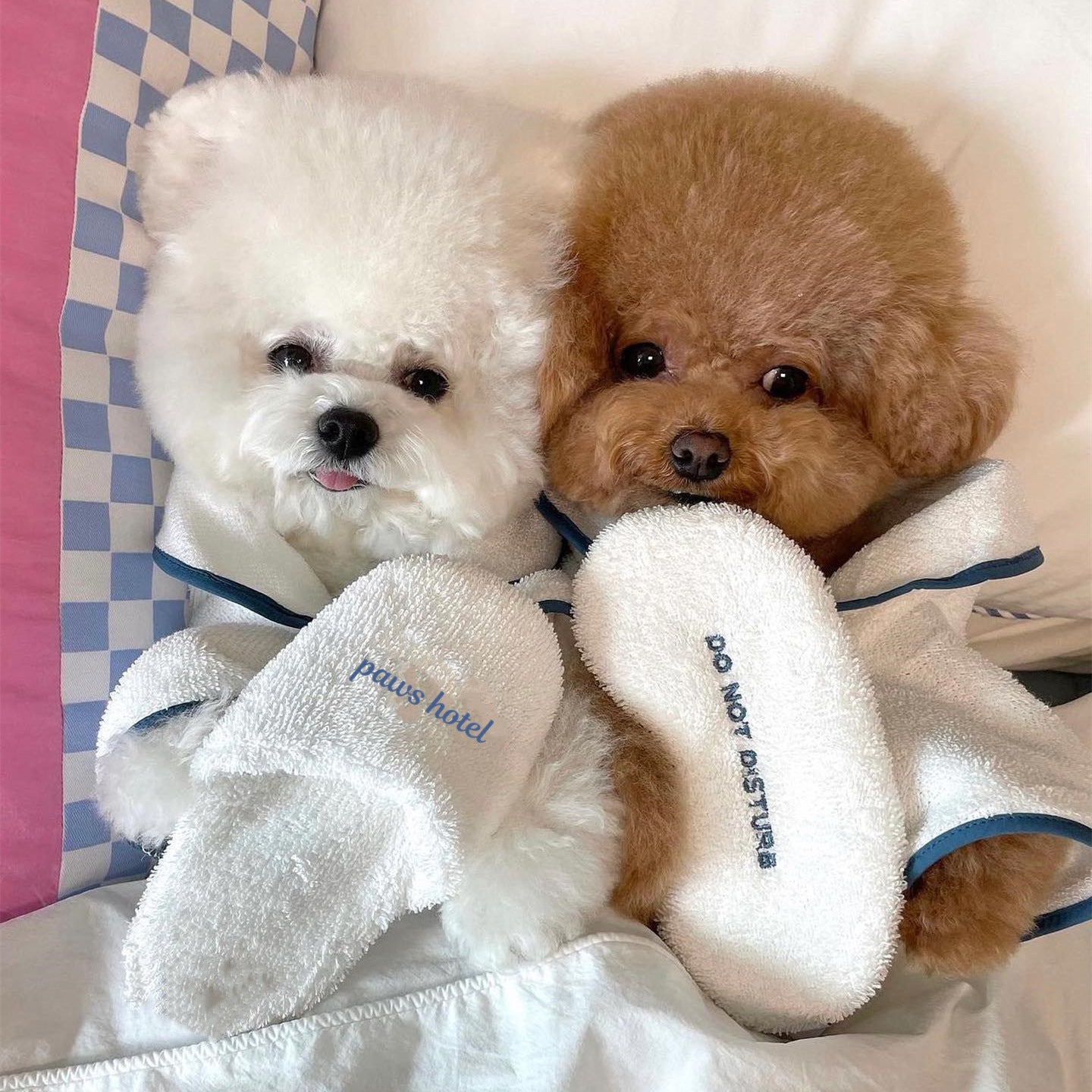 Fur Seasons Hotel & Spa Robe – For the Pup Who Loves Luxury