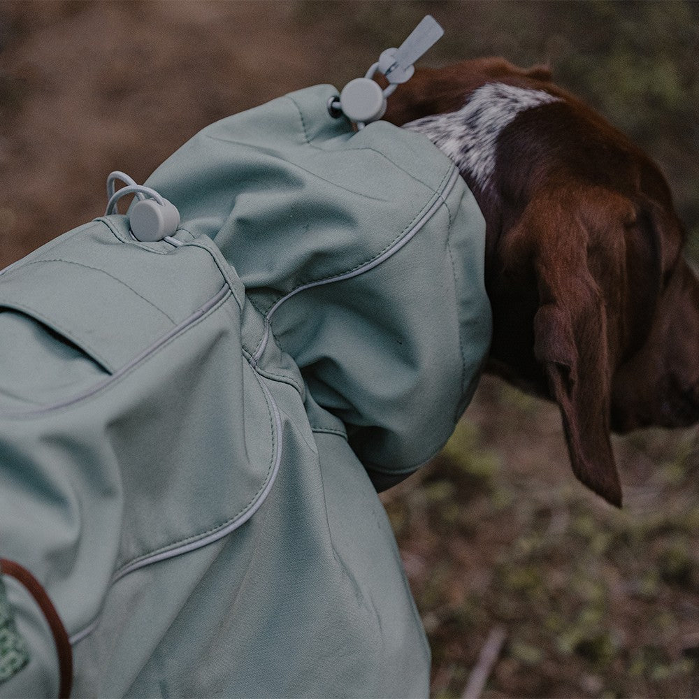 PawShield Pro Outdoor Jacket – Warm, Waterproof & Windproof