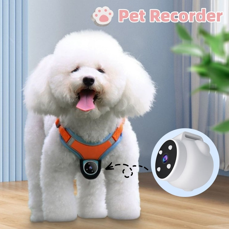PawView Pet Recorder