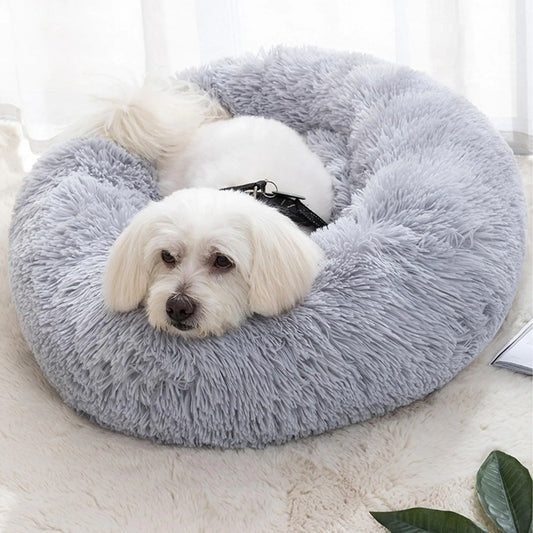 Cat Bed
